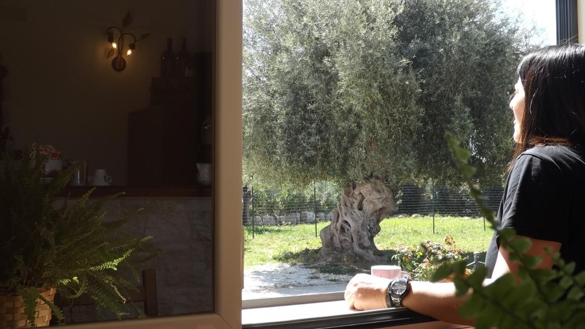مبيت وإفطار أفولا Beb Nonno Baffo المظهر الخارجي الصورة